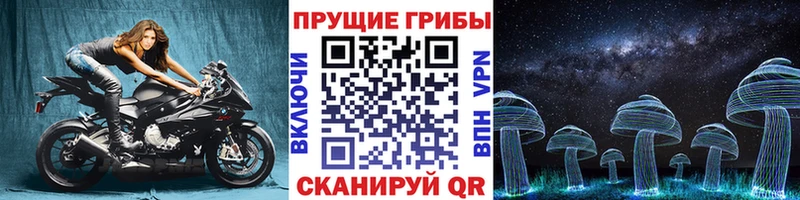 где можно купить   Баймак  Псилоцибиновые грибы Psilocybine cubensis 